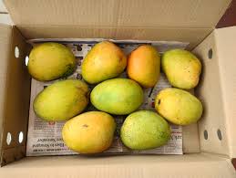 Mangoes